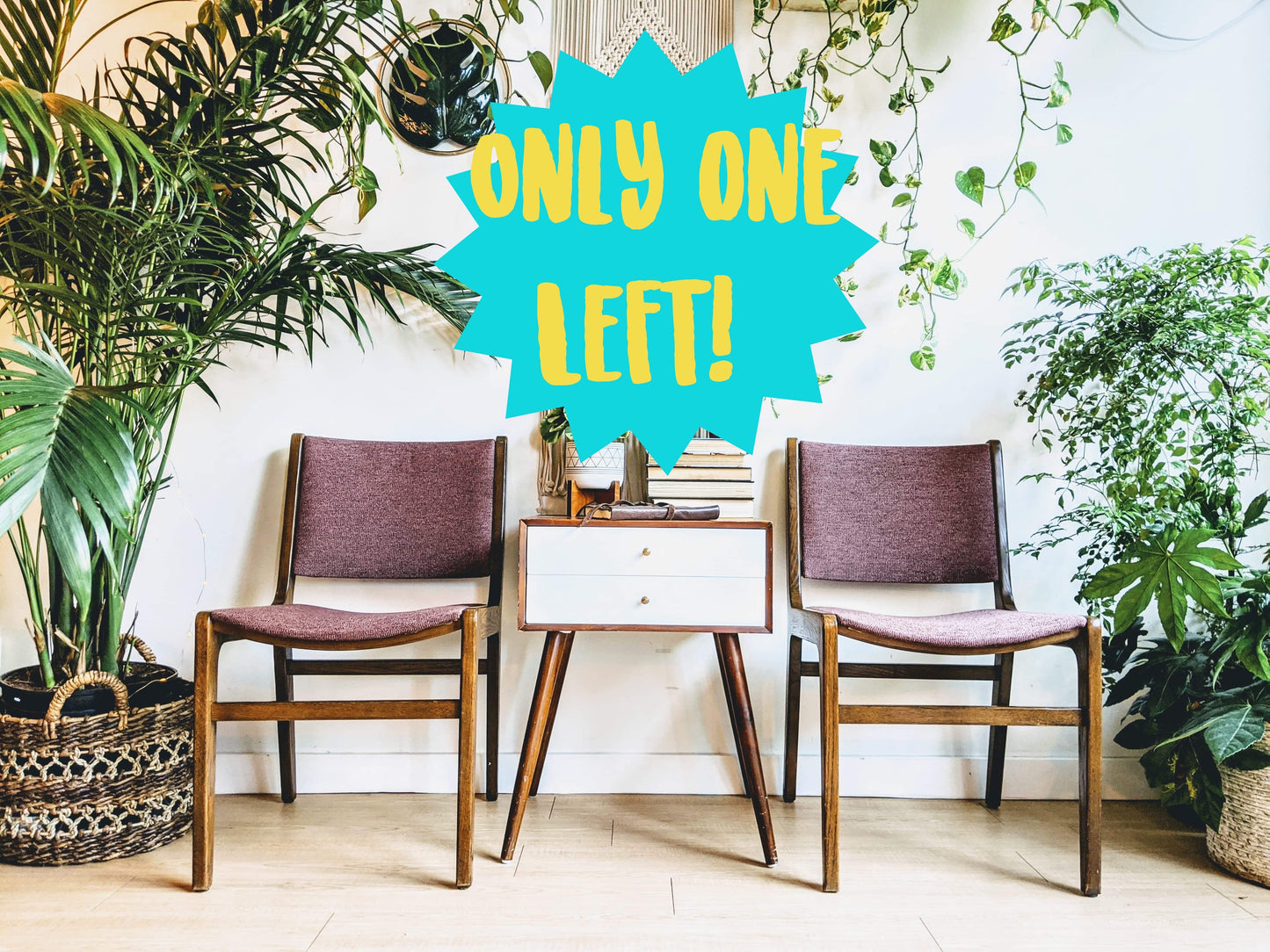 The Plumtootin' Teak Chair