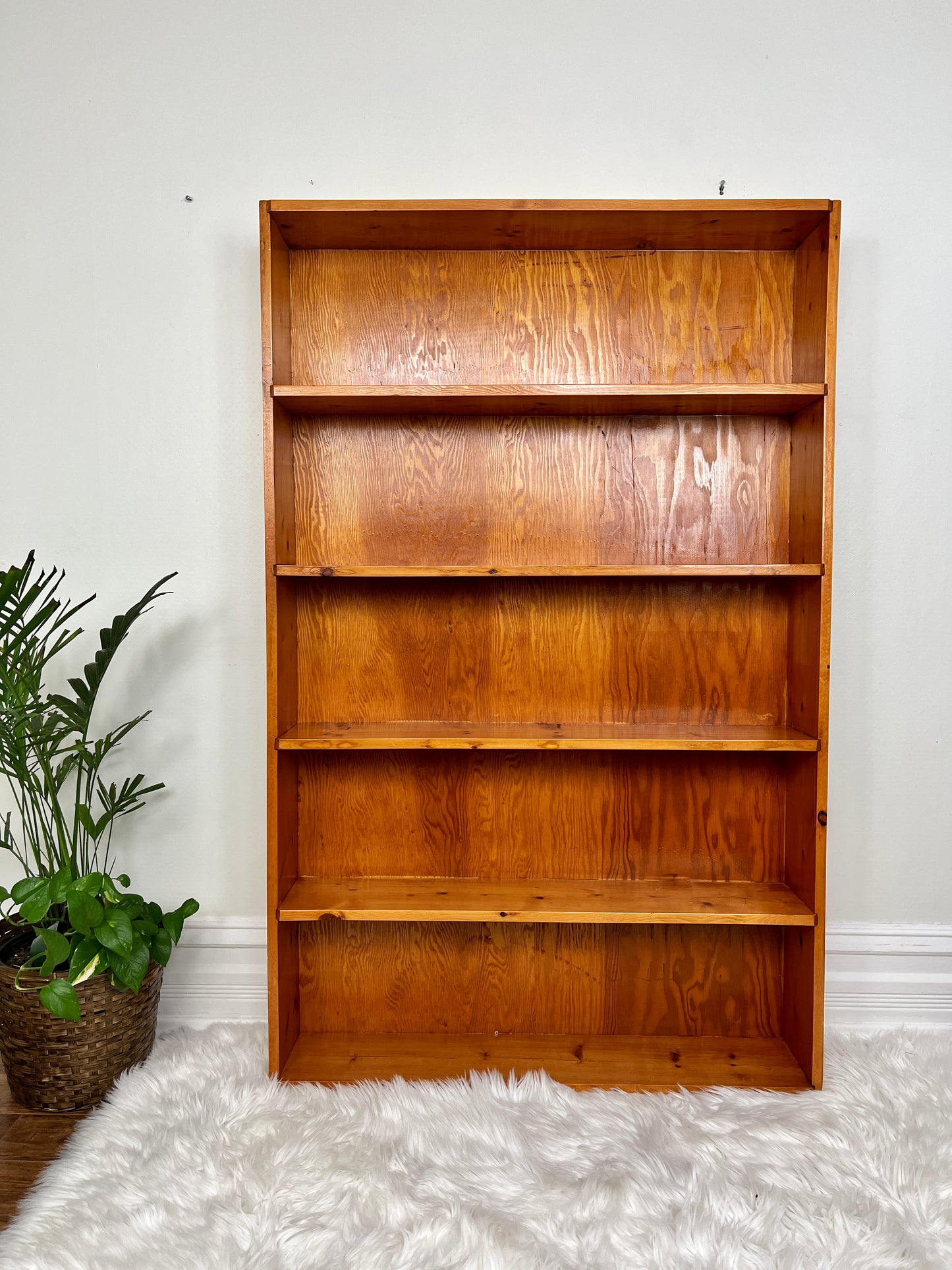 The Peter Shelf