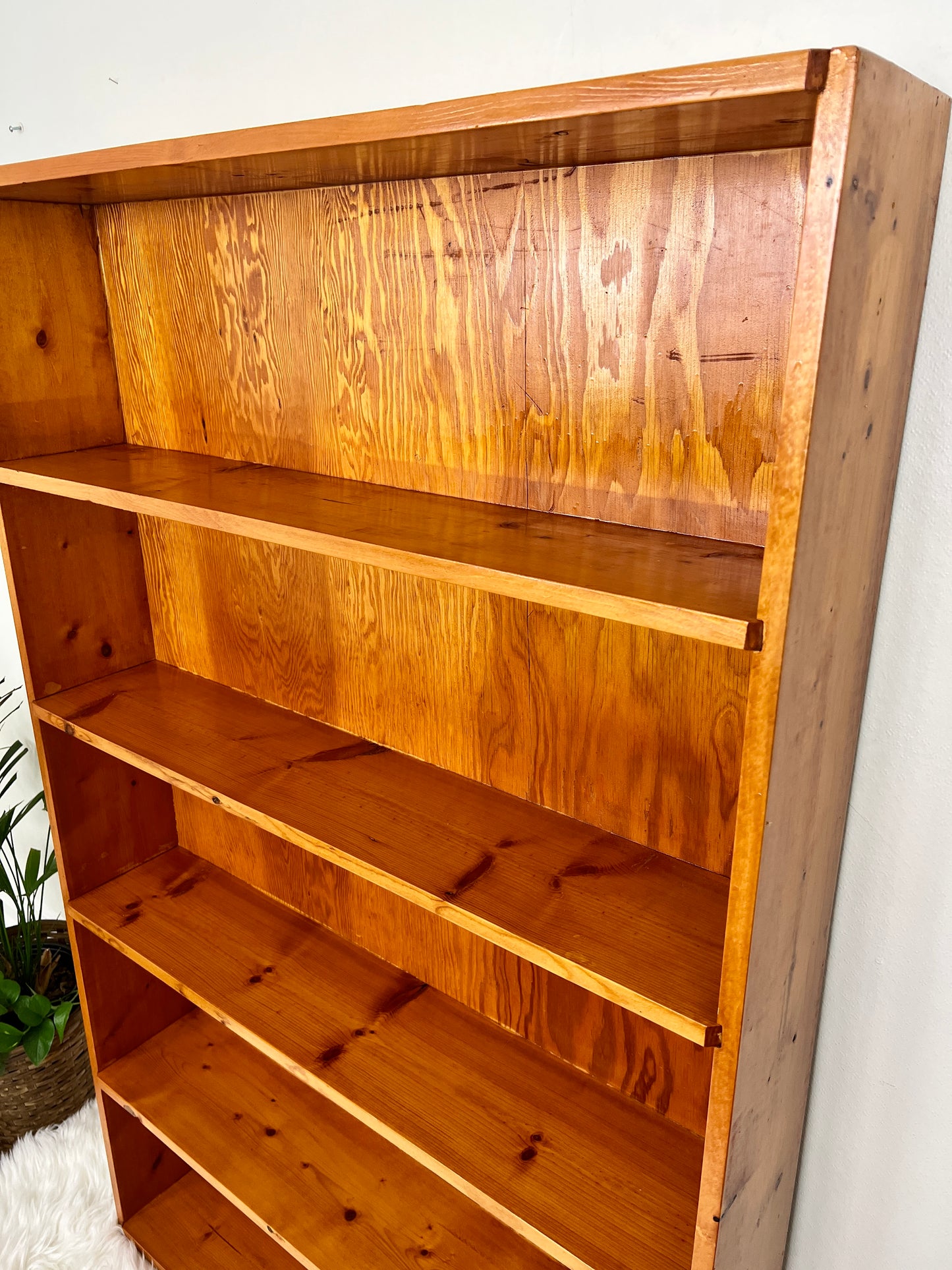 The Peter Shelf