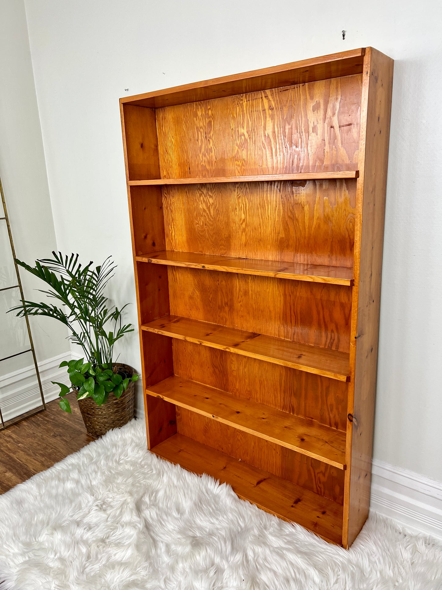 The Peter Shelf