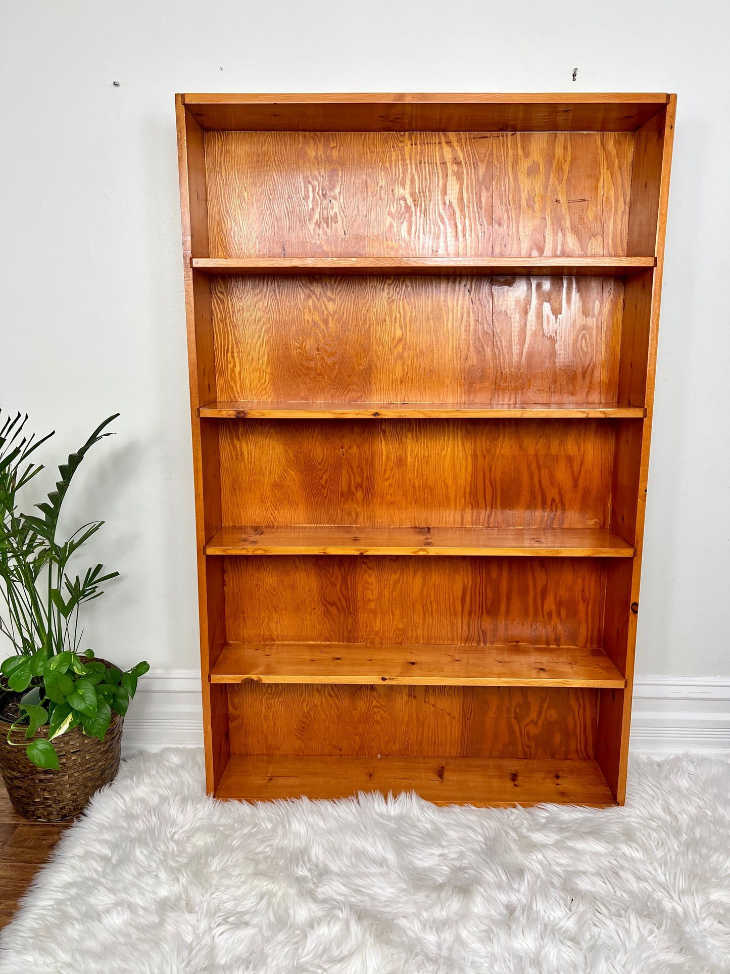 The Peter Shelf