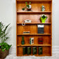 The Peter Shelf