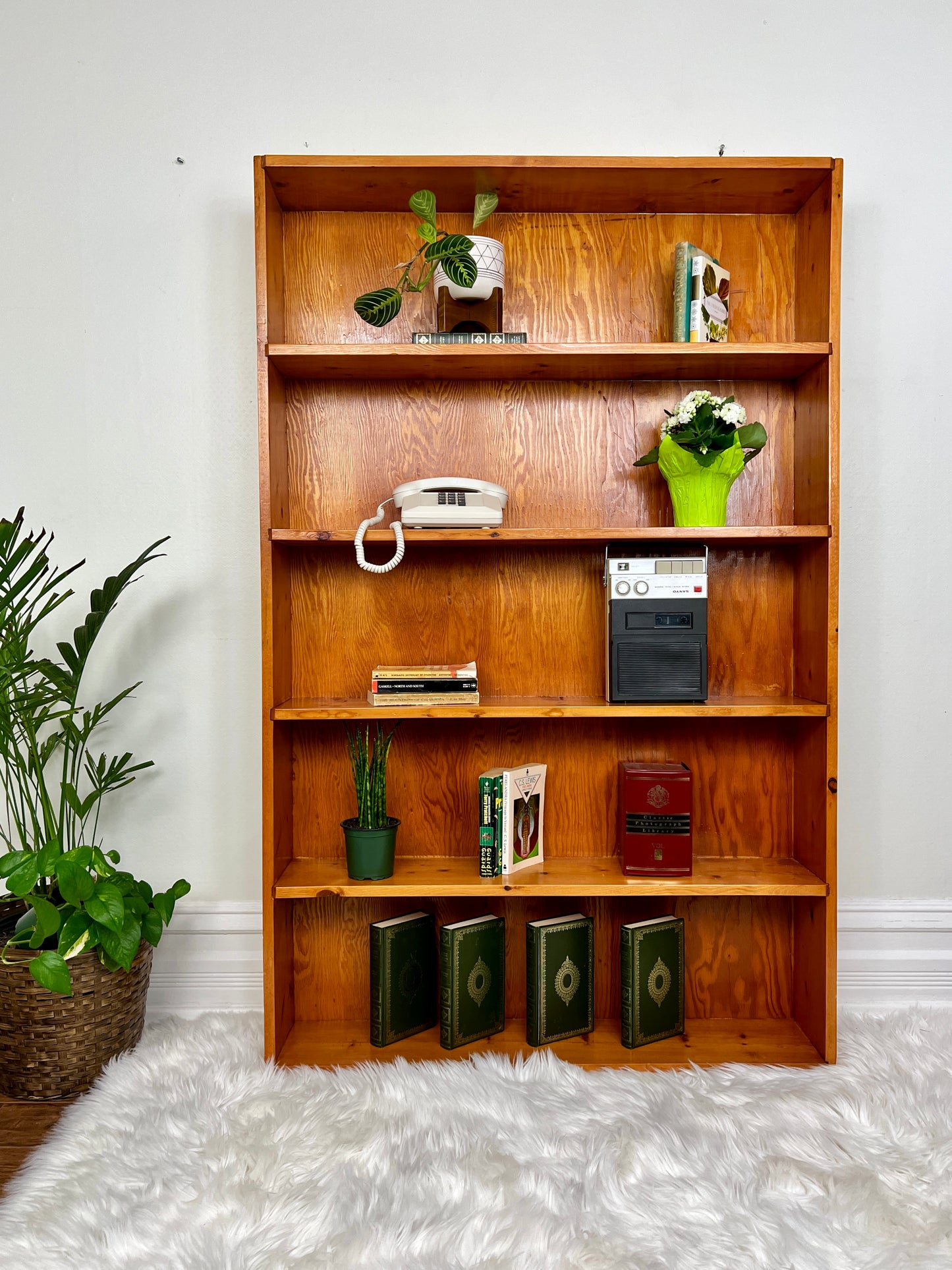 The Peter Shelf