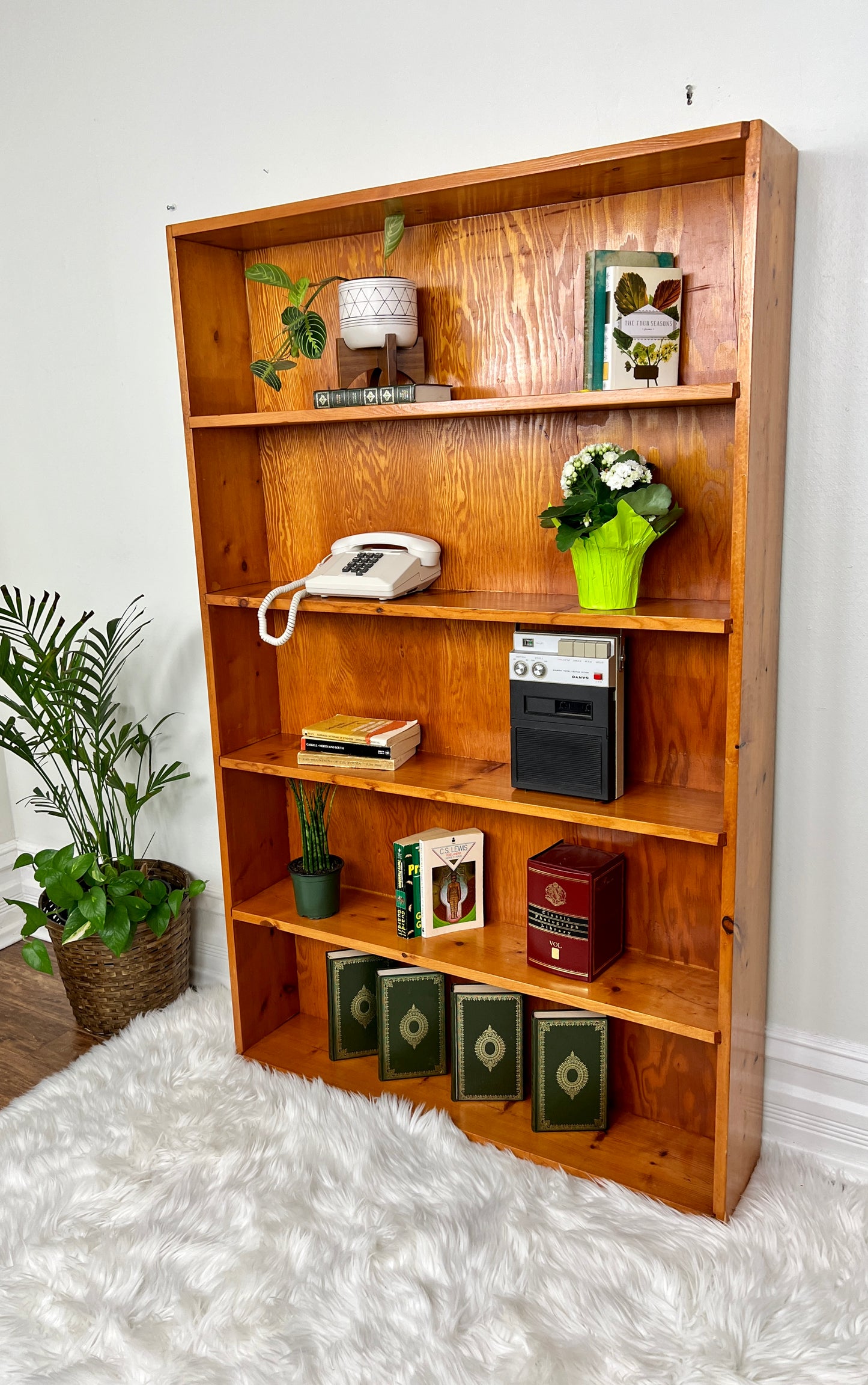 The Peter Shelf