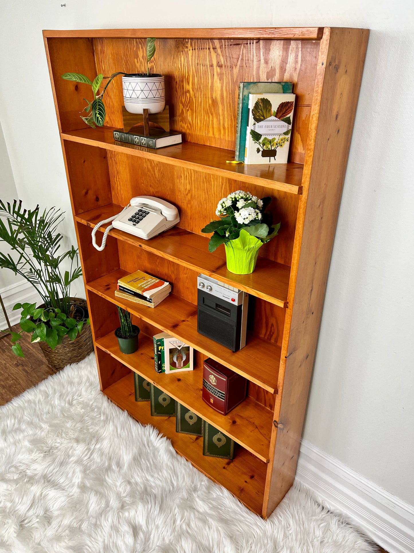 The Peter Shelf