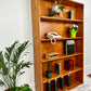 The Peter Shelf