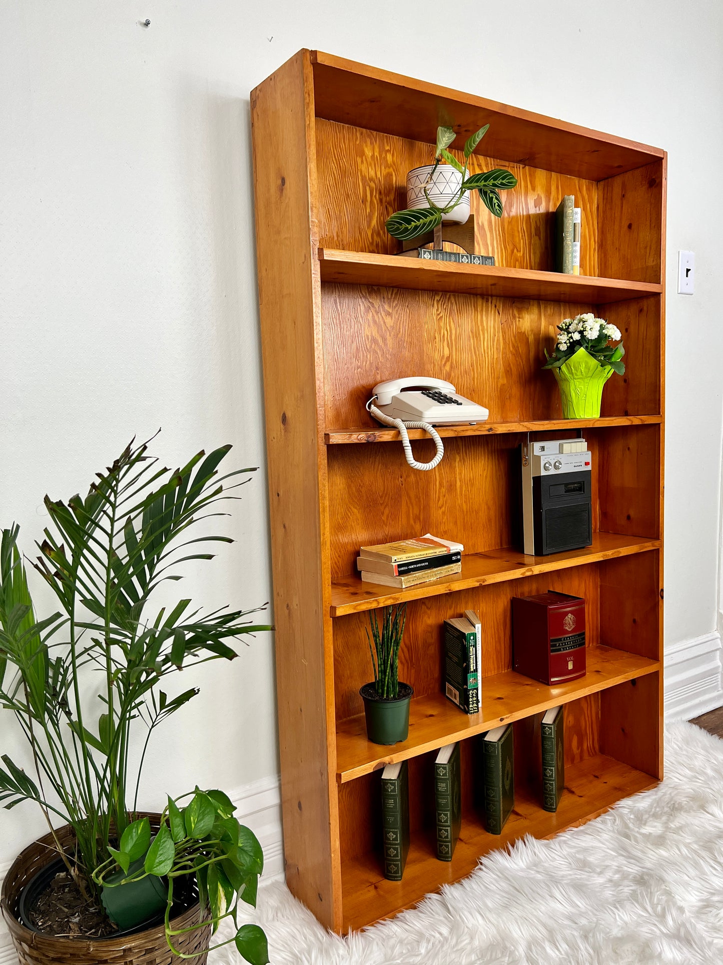 The Peter Shelf