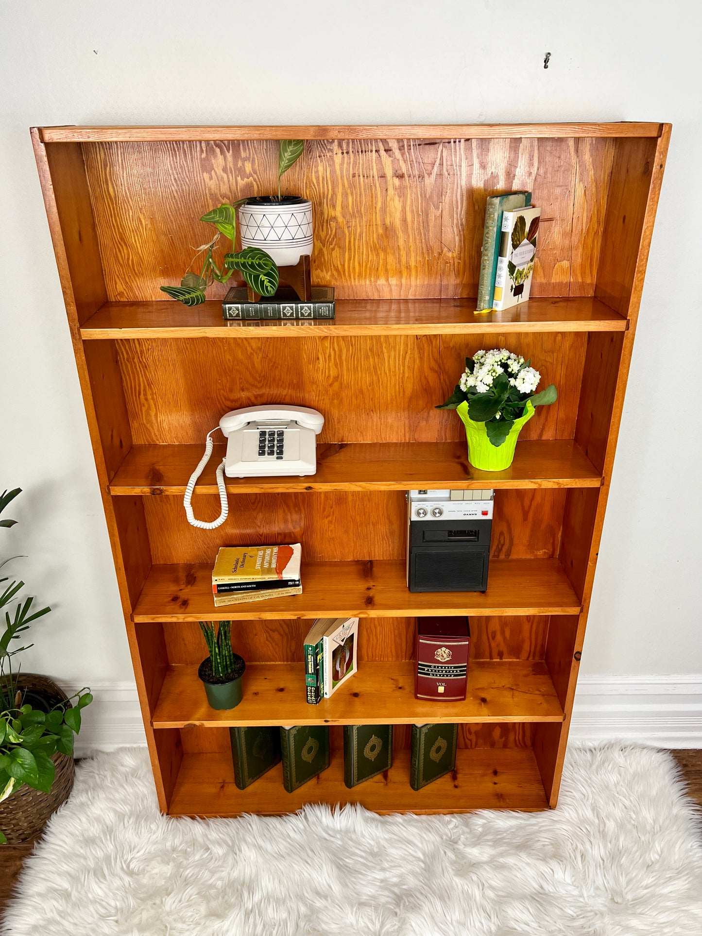 The Peter Shelf