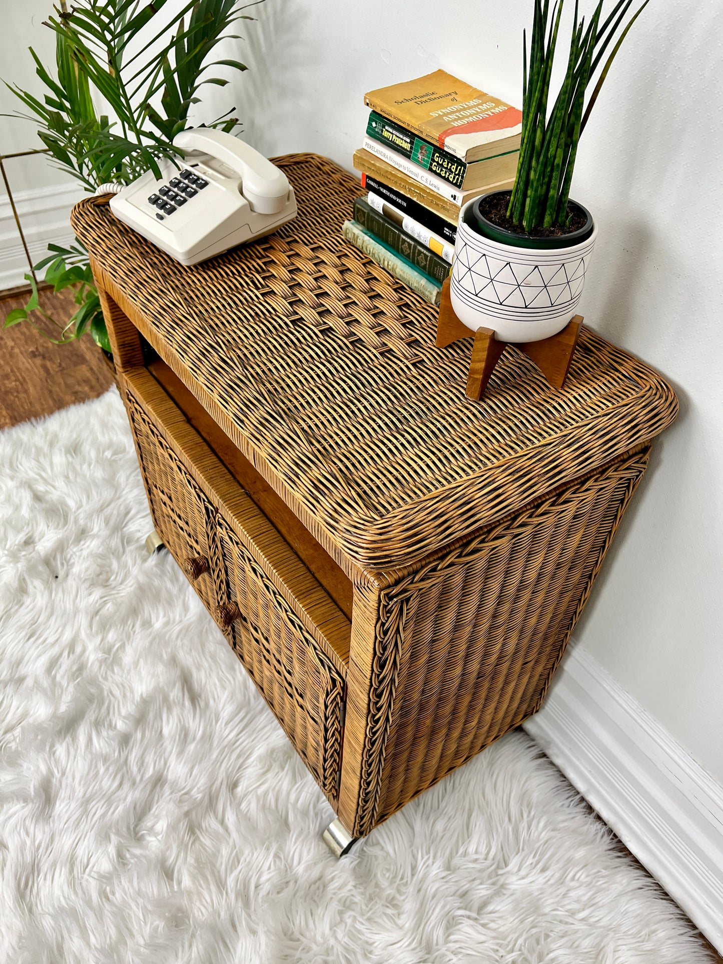 The Wilson Wicker Cabinet
