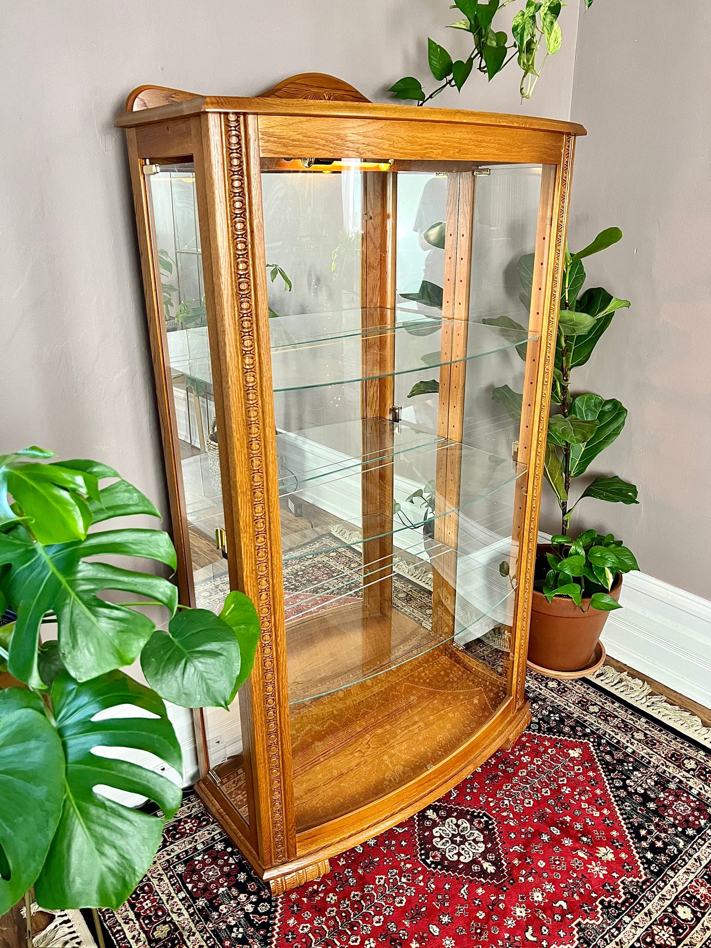 The Tussock Display Cabinet