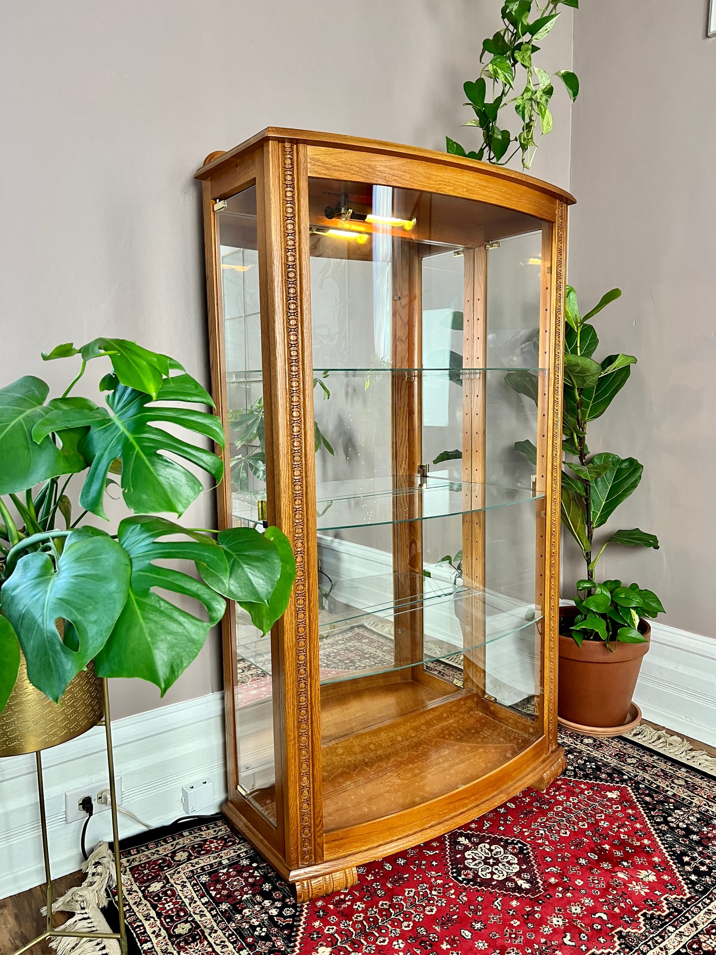 The Tussock Display Cabinet