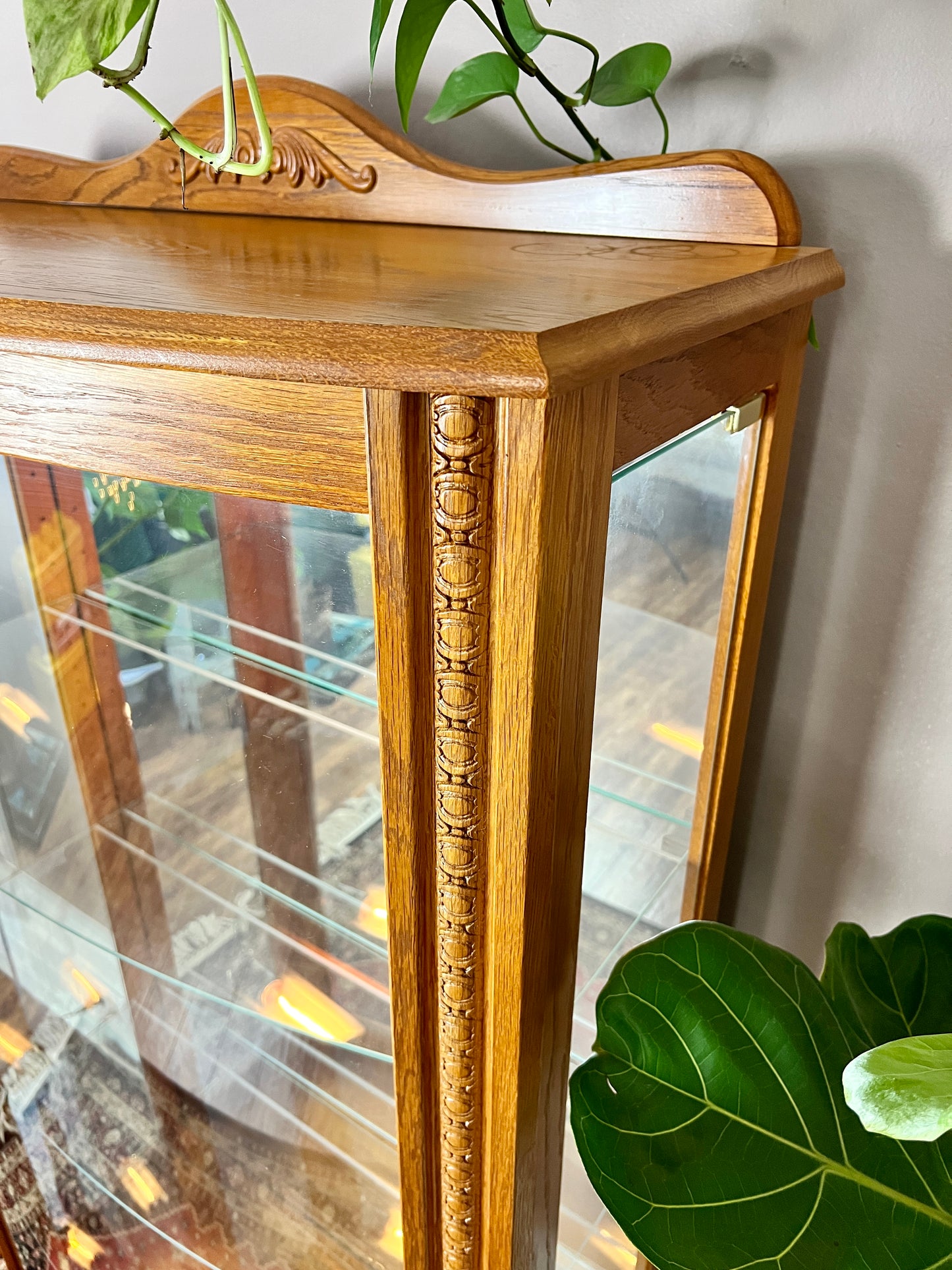 The Tussock Display Cabinet