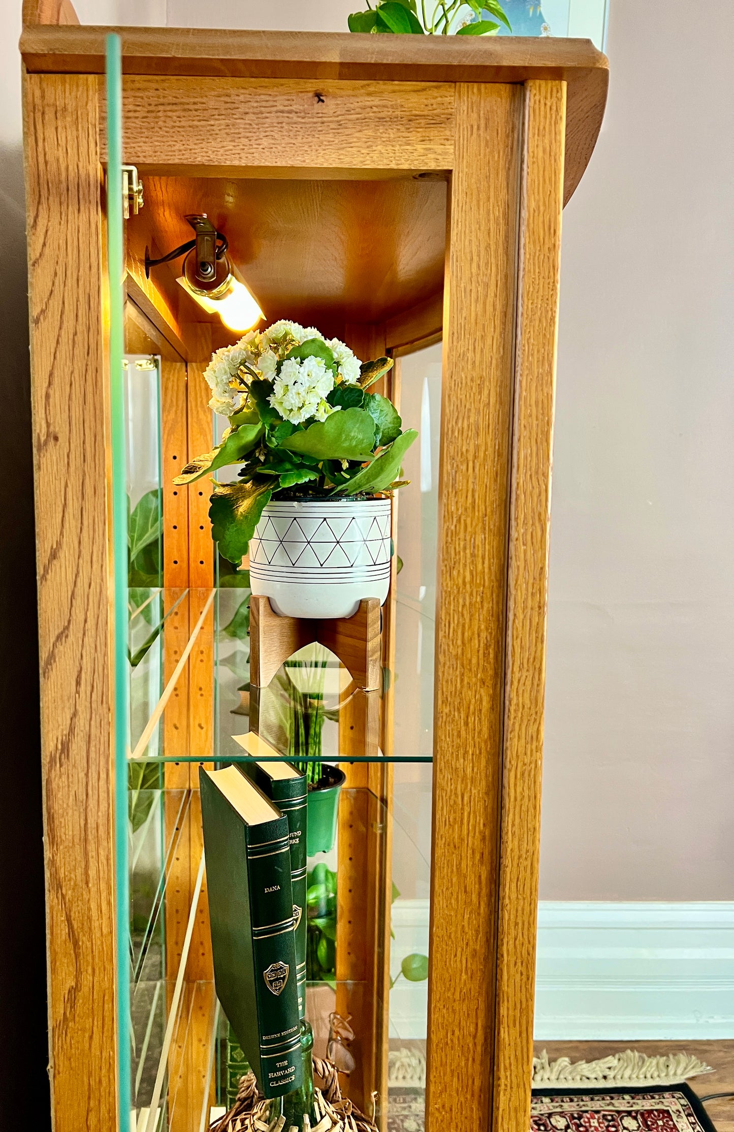 The Tussock Display Cabinet