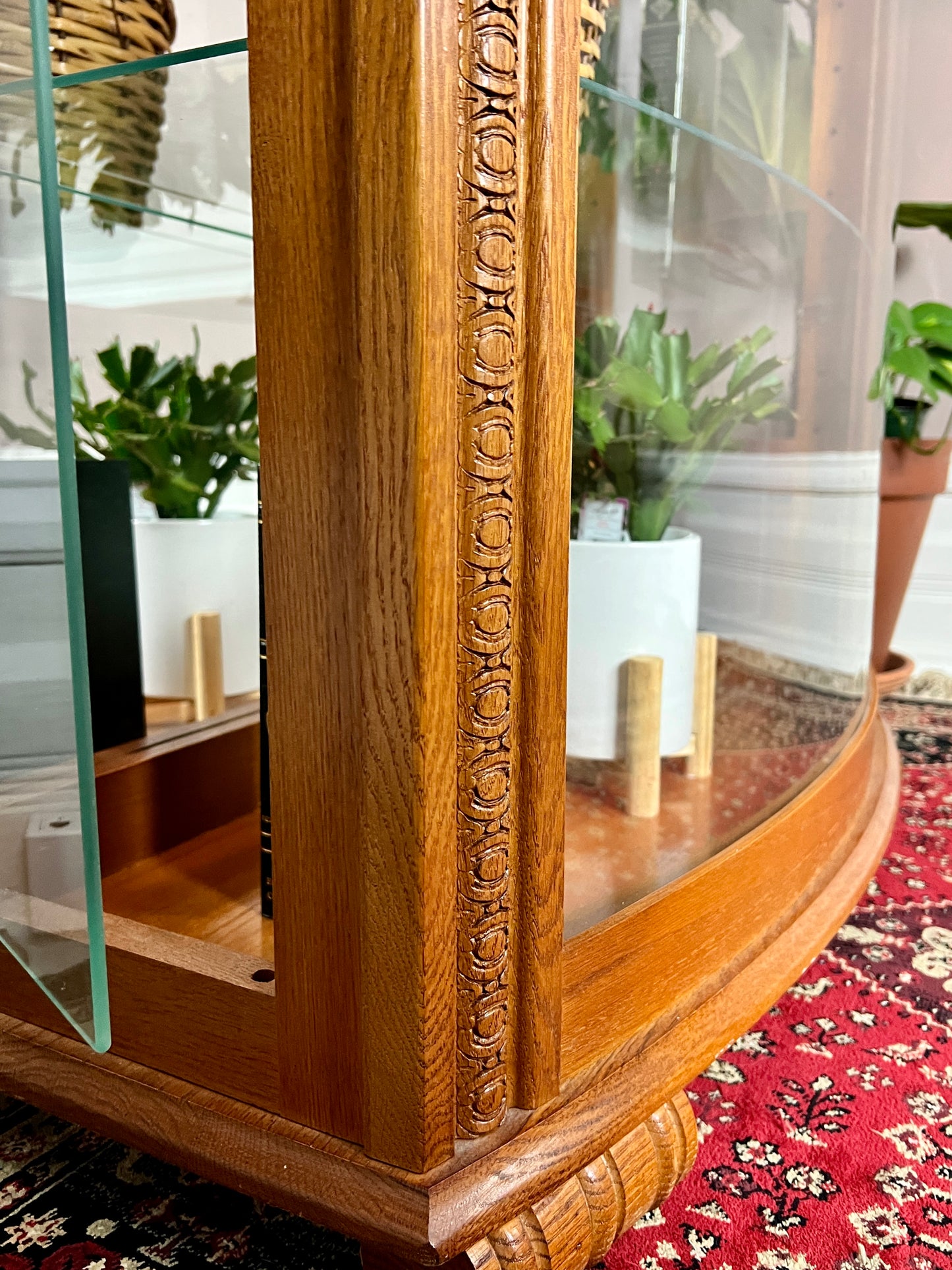 The Tussock Display Cabinet