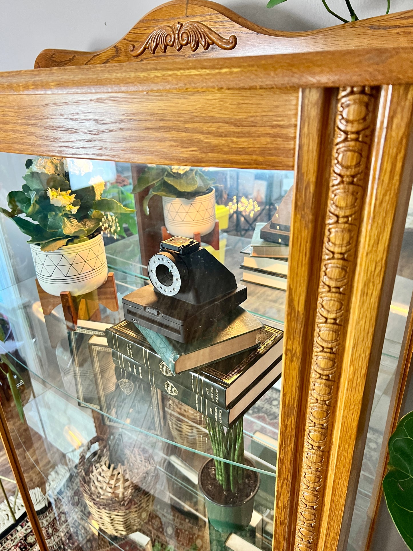 The Tussock Display Cabinet