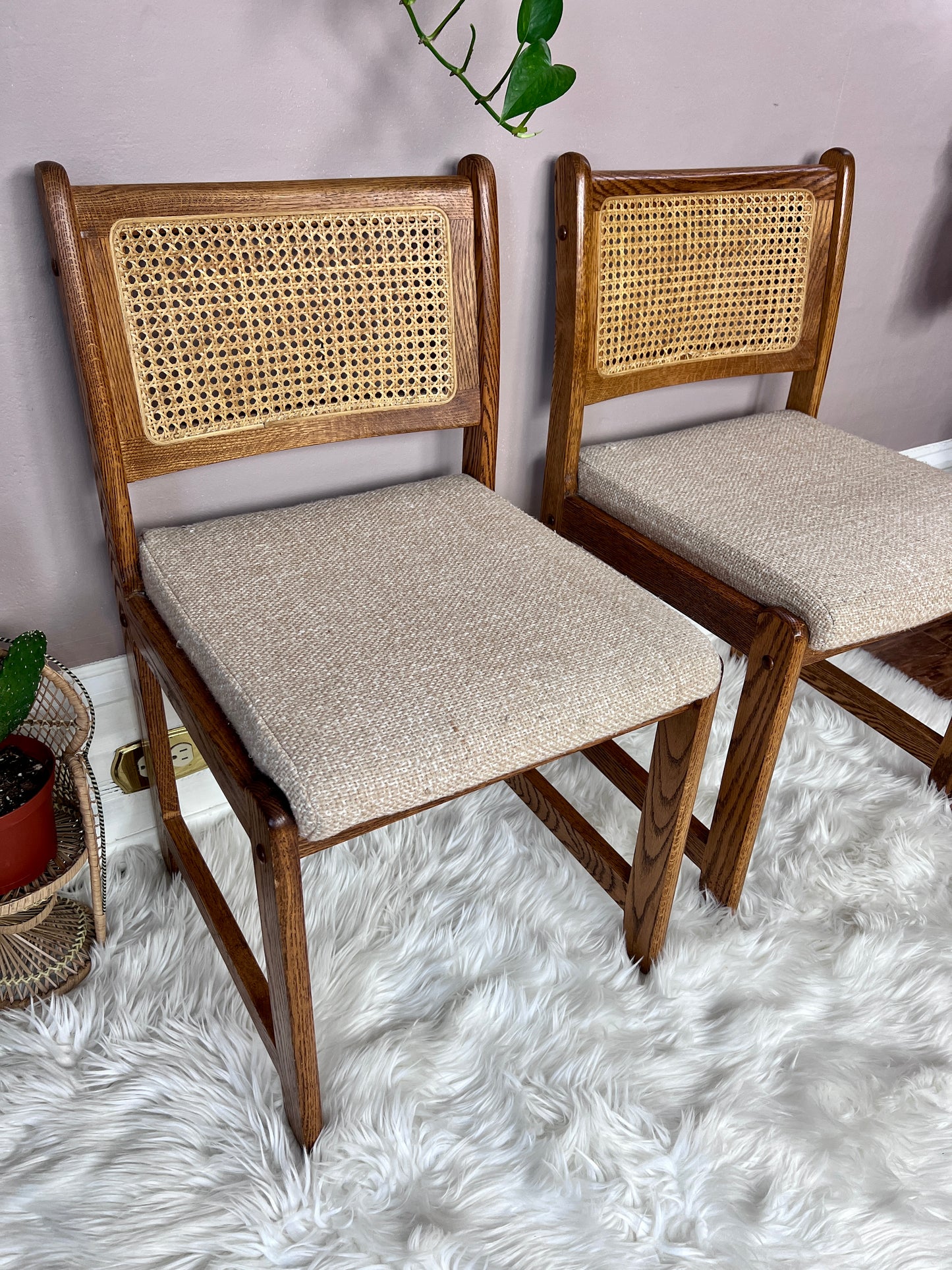 The Arrowtown Chairs