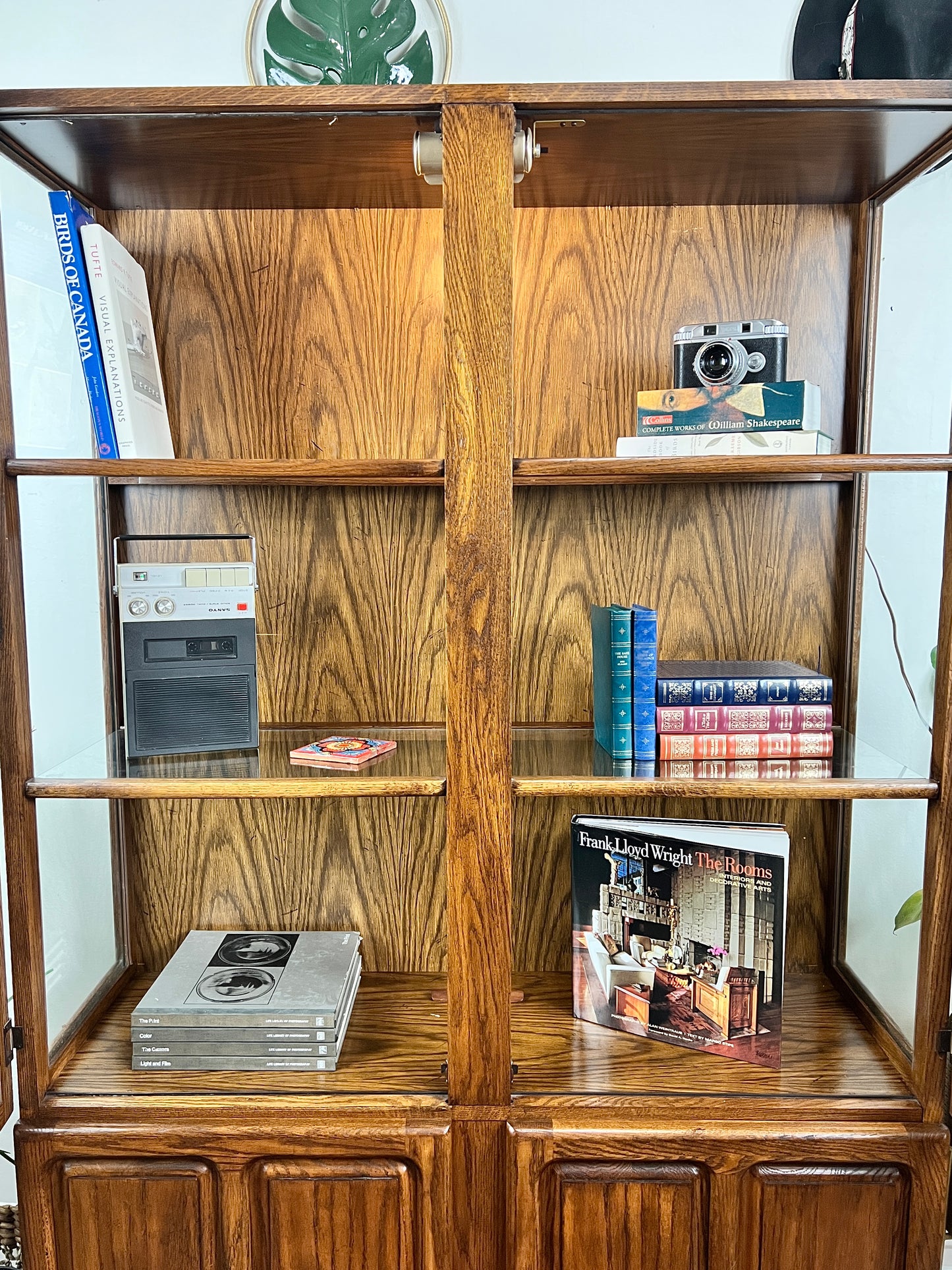 The Odile Display Cabinet