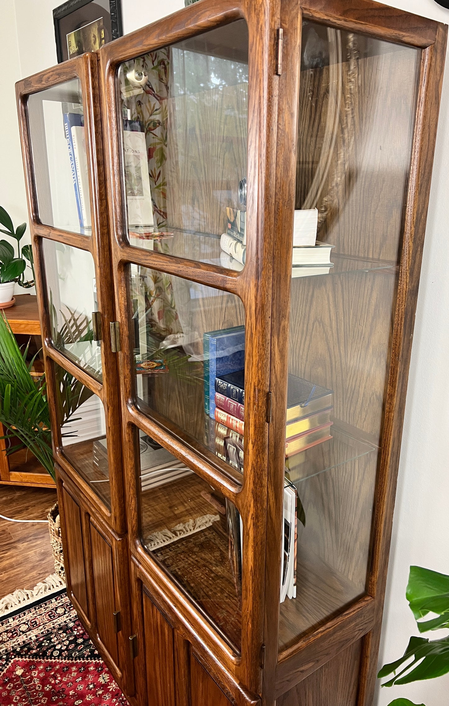 The Odile Display Cabinet