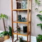 The Mikkel Teak & Glass Etagere