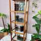 The Mikkel Teak & Glass Etagere
