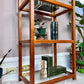 The Mikkel Teak & Glass Etagere