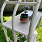 The Conservatory Rattan Shelf
