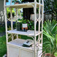 The Conservatory Rattan Shelf