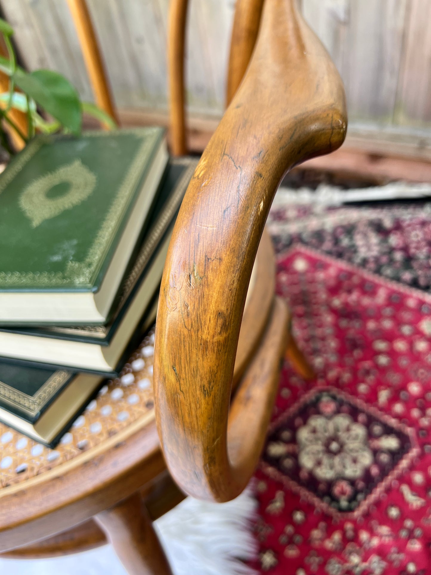 The Cafe Luna Chair
