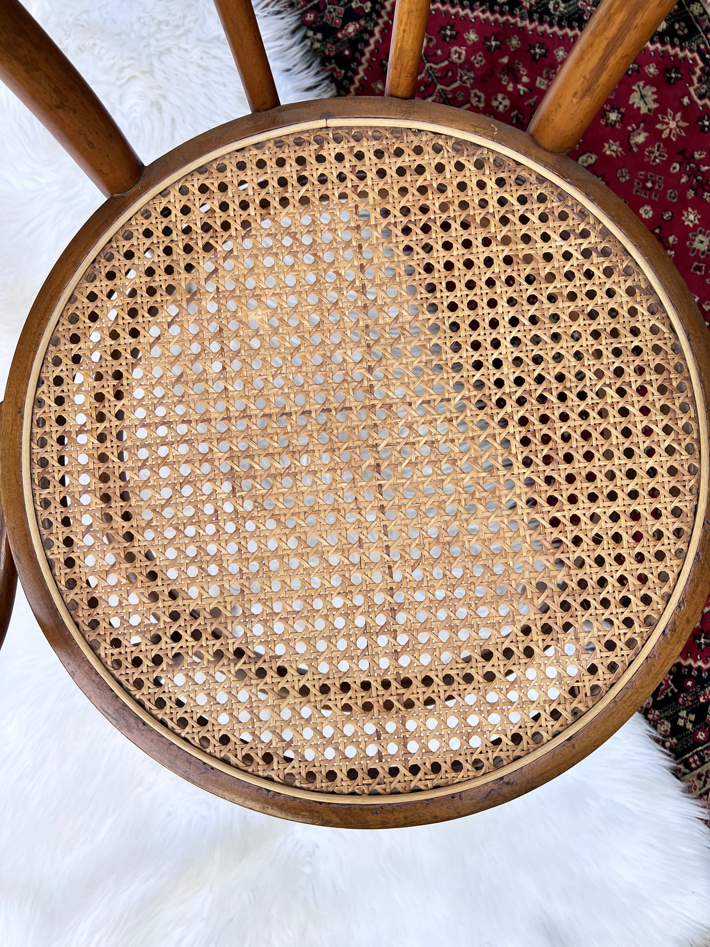 The Cafe Luna Chair