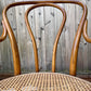 The Cafe Luna Chair