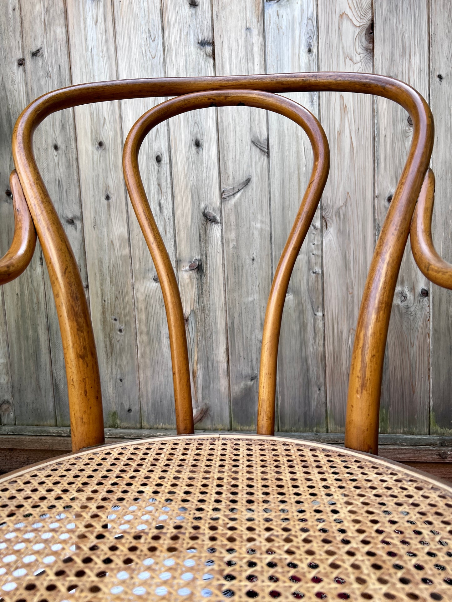 The Cafe Luna Chair