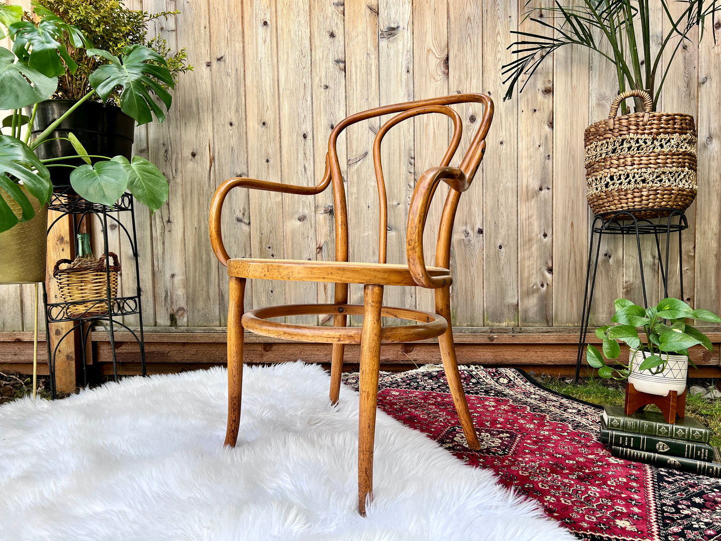 The Cafe Luna Chair