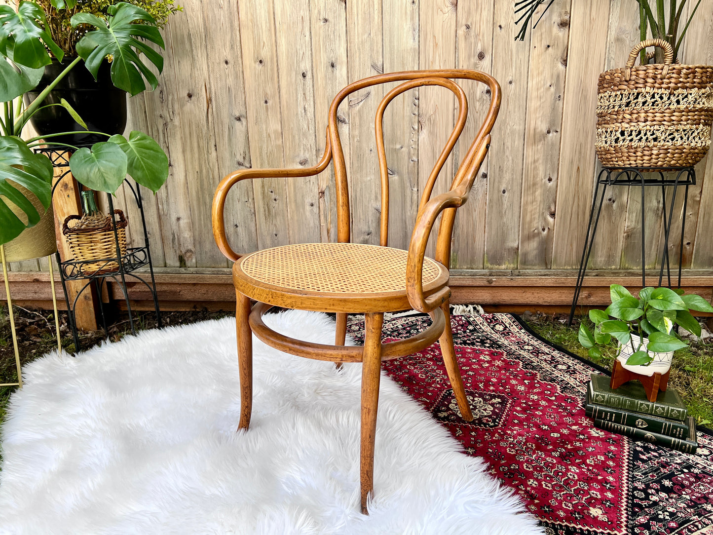 The Cafe Luna Chair