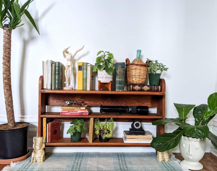 The San Francisco Shelf