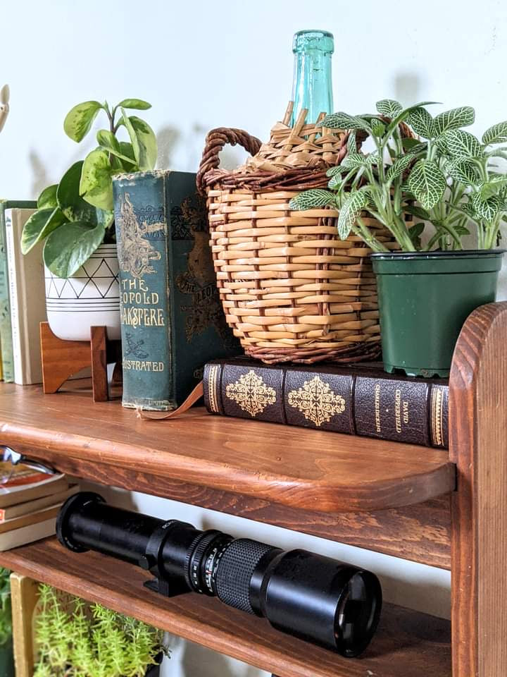 The San Francisco Shelf