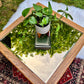 The Pyramid Coffee Table