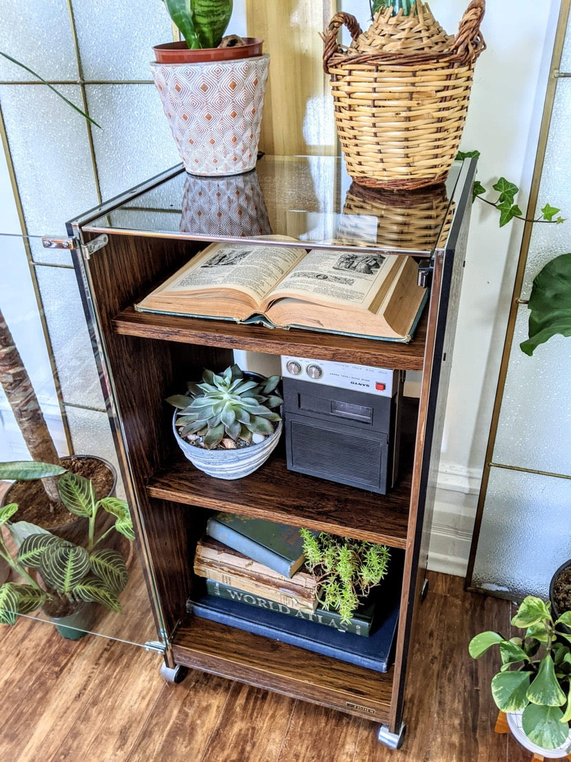 The Ongaku 音楽 Display Cabinet