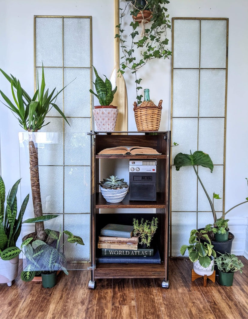 The Ongaku 音楽 Display Cabinet