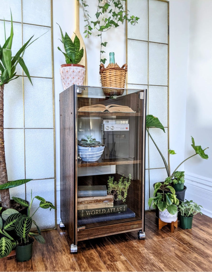 The Ongaku 音楽 Display Cabinet