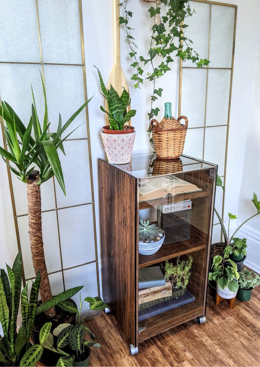 The Ongaku 音楽 Display Cabinet