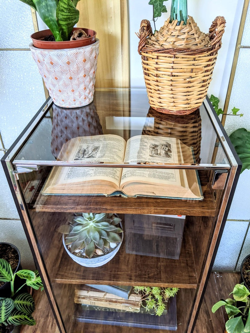 The Ongaku 音楽 Display Cabinet