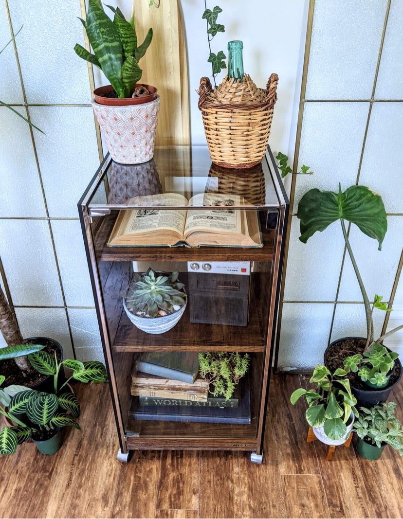 The Ongaku 音楽 Display Cabinet