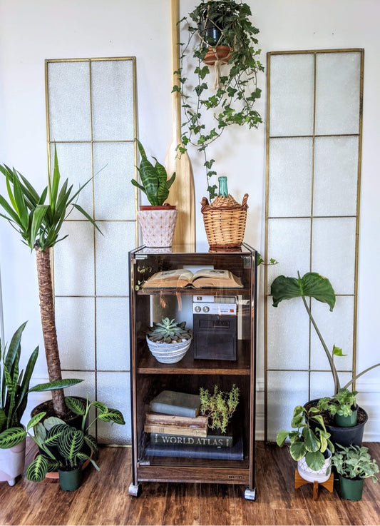 The Ongaku 音楽 Display Cabinet