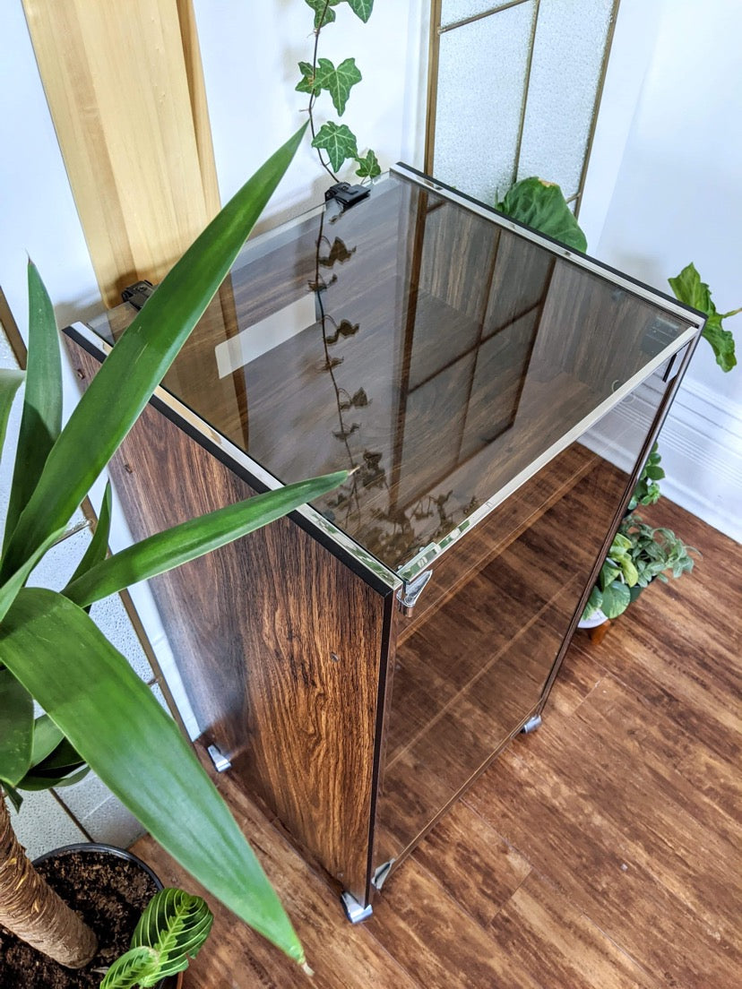 The Ongaku 音楽 Display Cabinet