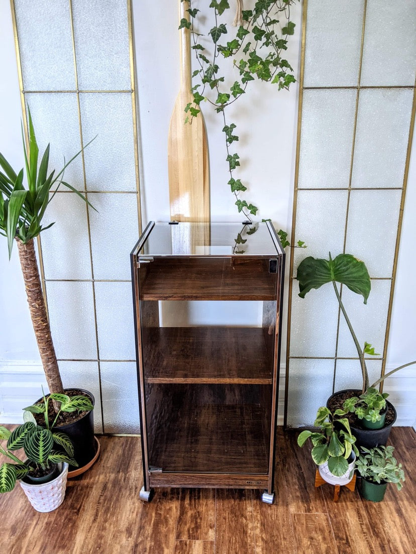 The Ongaku 音楽 Display Cabinet