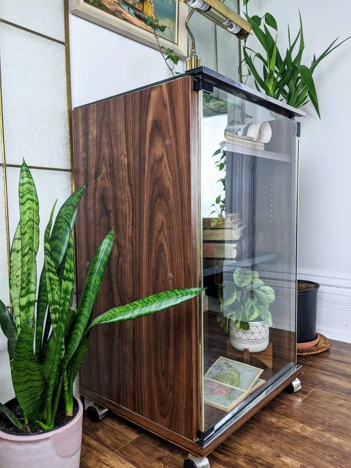 The Mercury Cabinet