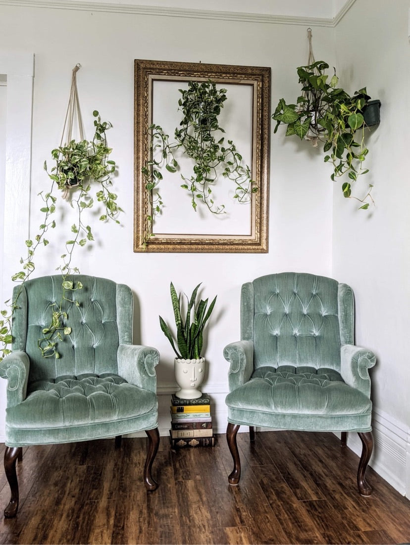 The Minty Fresh Chairs