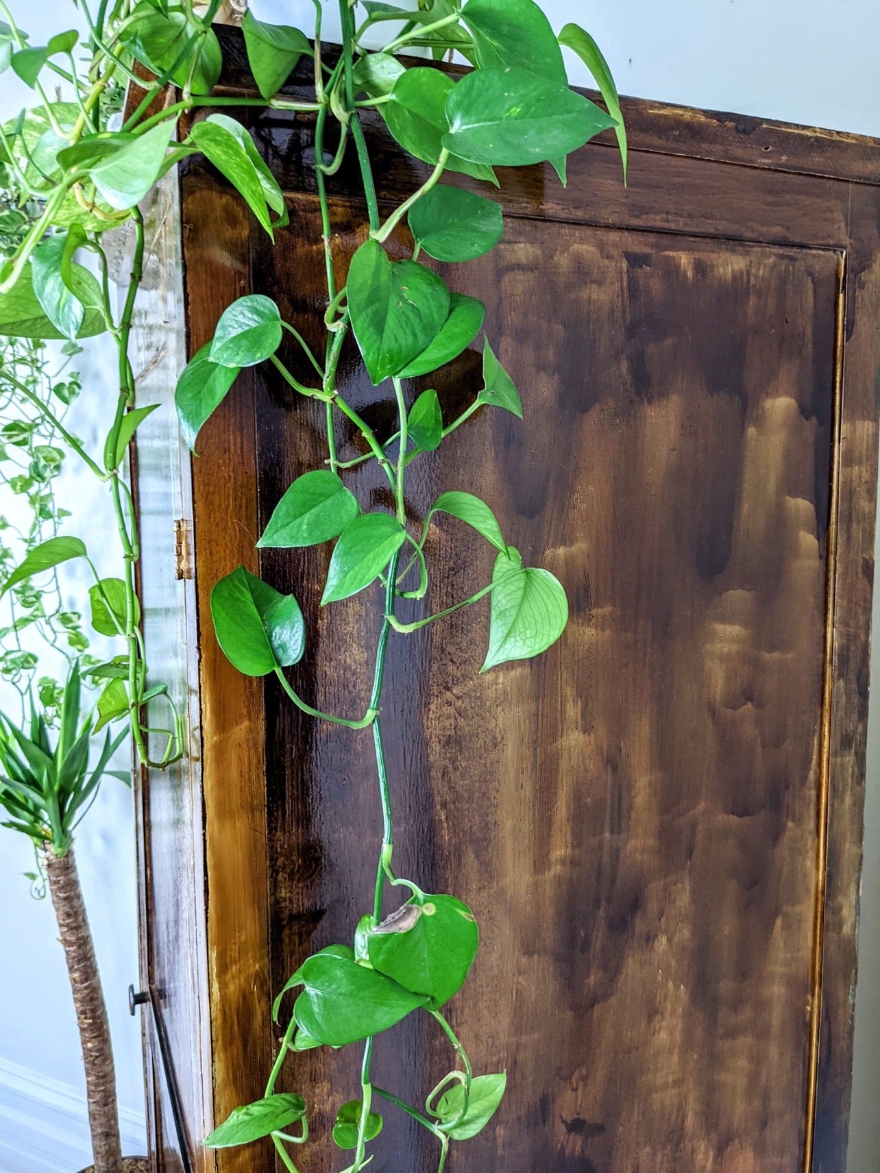 The Arabella Armoire