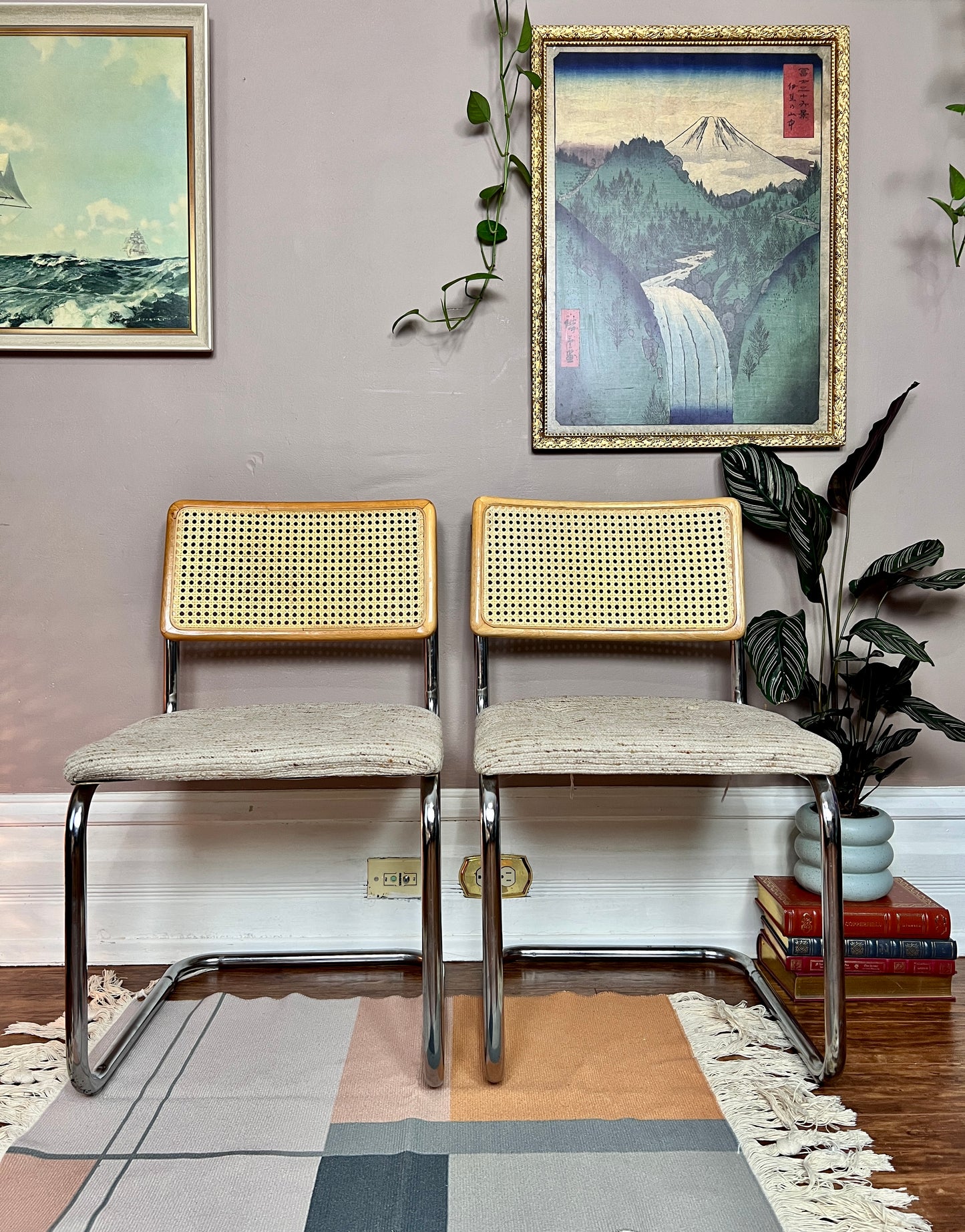The Cesca Style Chairs