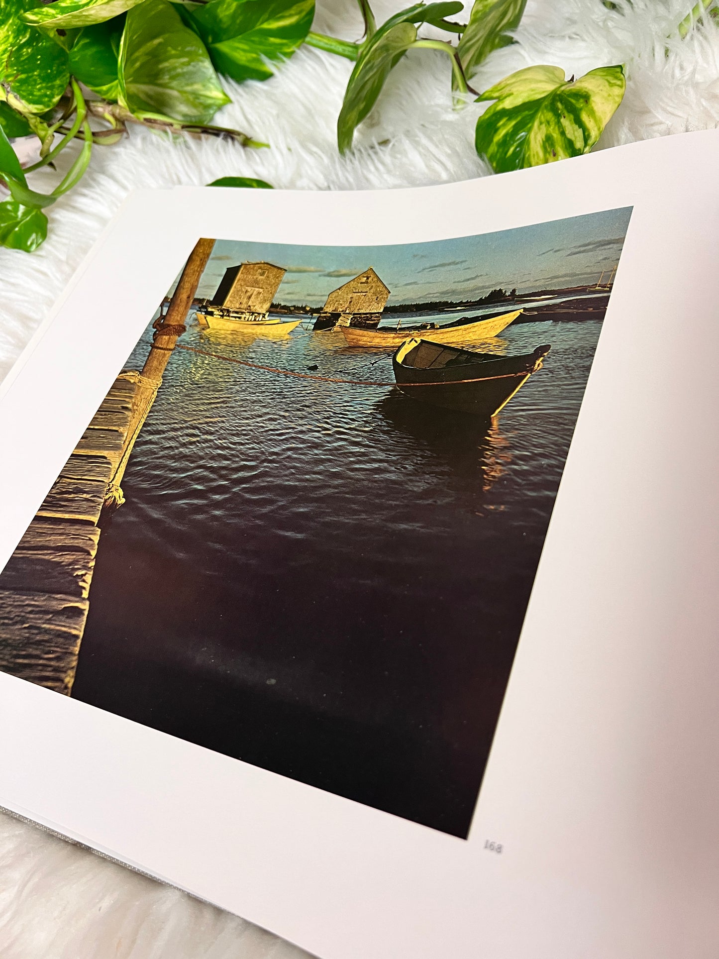 NFB Of Canada A Year Of The Land Book